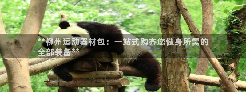 意昂体育3平台注册流程图：**柳州运动器材包：一站式