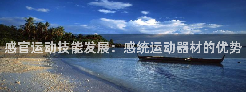 意昂体育3招商电话：感官运动技能发展：感统运动器材的