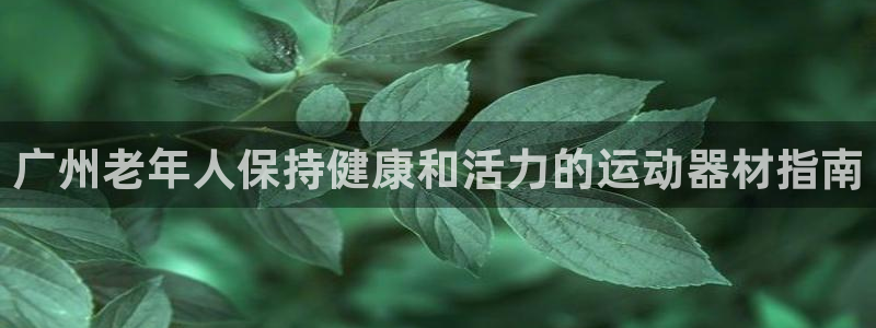 德国意昂3集团：广州老年人保持健康和活力的运动器材指