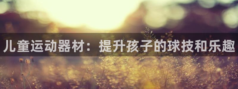 意昂体育3平台注册流程视频：儿童运动器材：提升孩子的