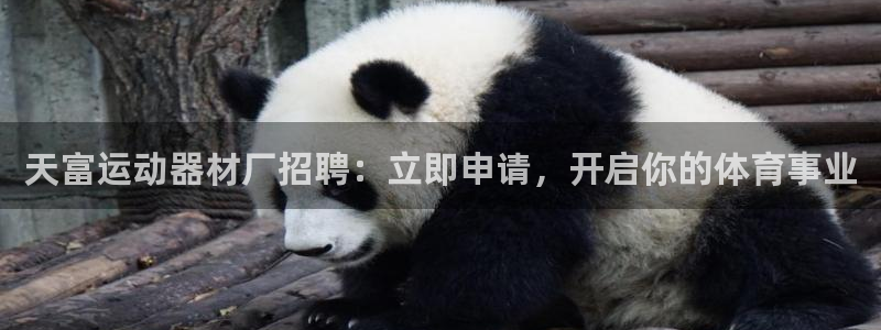 意昂3集团官网网址：天富运动器材厂招聘：立即申请，开