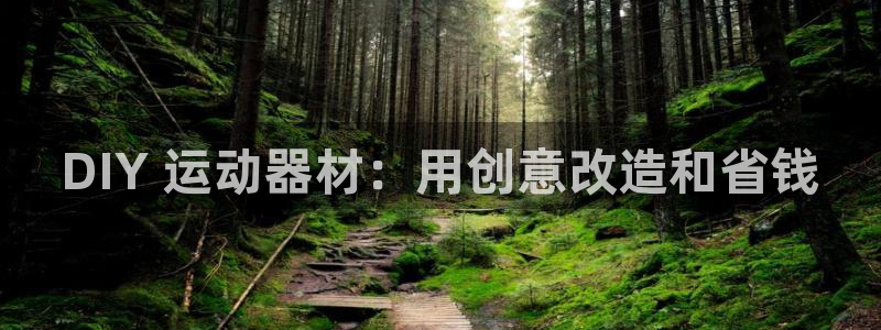 意昂体育3招商电话号码是多少：DIY 运动器材：用创