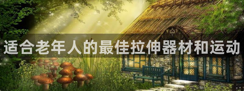 意昂3集团logo：适合老年人的最佳拉伸器材和运动