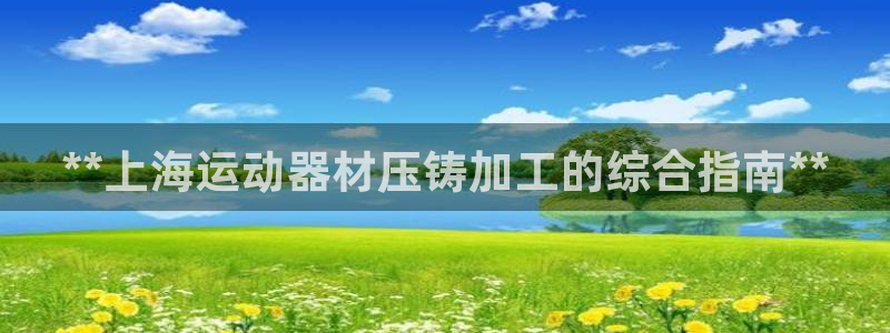 注册意昂3：**上海运动器材压铸加工的综合指南**