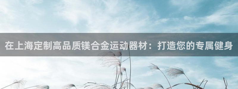 意昂体育3招商电话号码是多少：在上海定制高品质镁合金