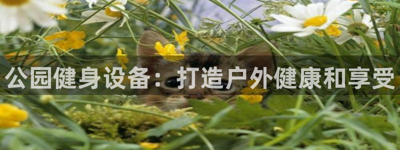 意昂体育3是干嘛的公司：公园健身设备：打造户外健康和
