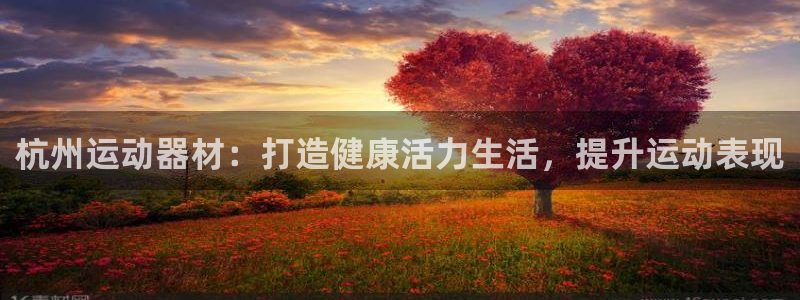意昂3集团官网首页：杭州运动器材：打造健康活力生活，