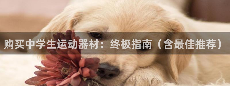 意昂3娱乐：购买中学生运动器材：终极指南（含最佳推荐