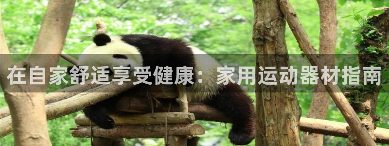 意昂3集团官网首页网址：在自家舒适享受健康：家用运动