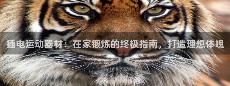 意昂3集团简介：插电运动器材：在家锻炼的终极指南，打