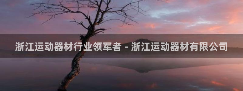 意昂3五金厂：浙江运动器材行业领军者 - 浙江运动器