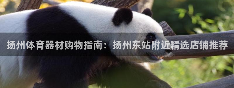 意昂体育3招商电话地址是多少：扬州体育器材购物指南：