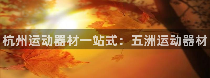 意昂体育3平台注册要钱吗安全吗：杭州运动器材一站式：