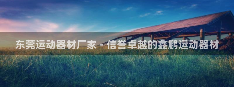 意昂3集团E.ON：东莞运动器材厂家 - 信誉卓越的