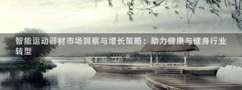 意昂体育3招商电话是多少啊：智能运动器材市场洞察与增
