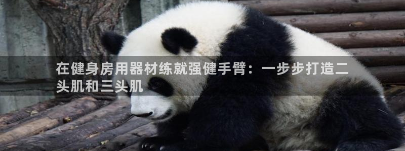 意昂3官方：在健身房用器材练就强健手臂：一步步打造二