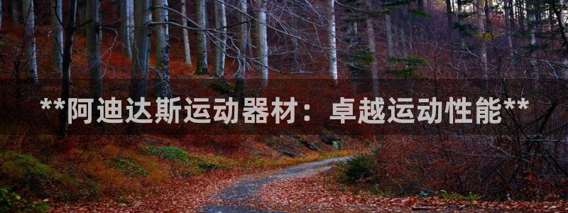 意昂体育3招商电话号码：**阿迪达斯运动器材：卓越运