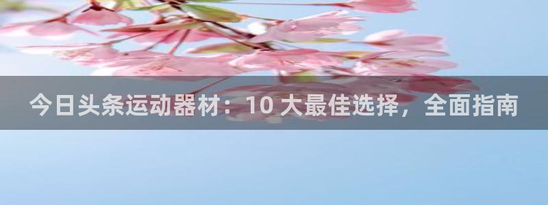 意昂3官方：今日头条运动器材：10 大最佳选择，全面