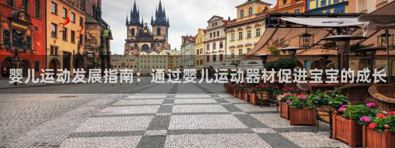 意昂体育3软件：婴儿运动发展指南：通过婴儿运动器材促