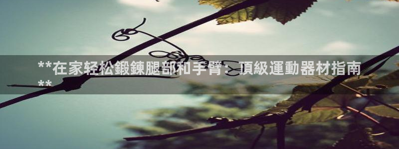 意昂3代理：**在家轻松鍛鍊腿部和手臂：頂級運動器材