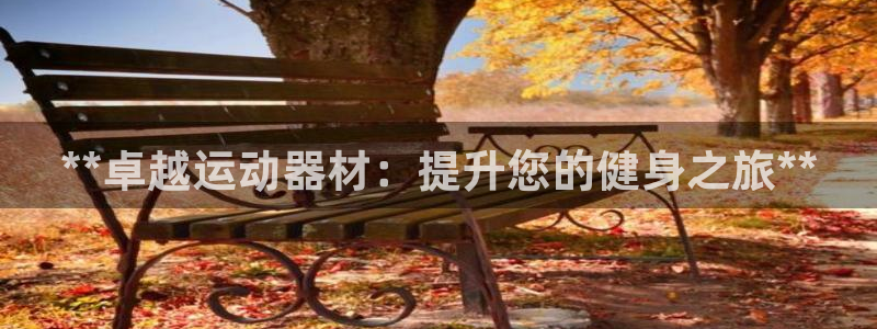 意昂3娱乐：**卓越运动器材：提升您的健身之旅**