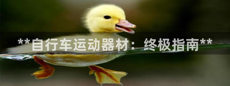 意昂集团官网：**自行车运动器材：终极指南**