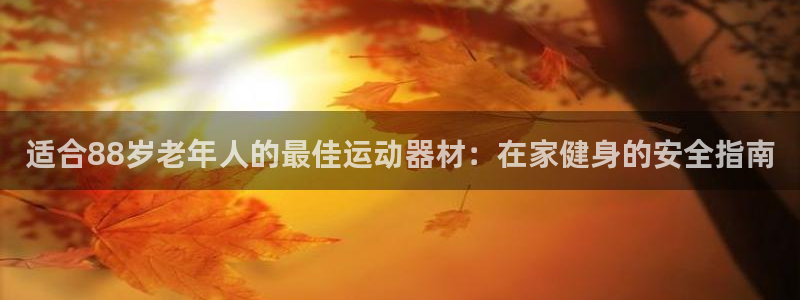 意昂体育3官方客服电话：适合88岁老年人的最佳运动器