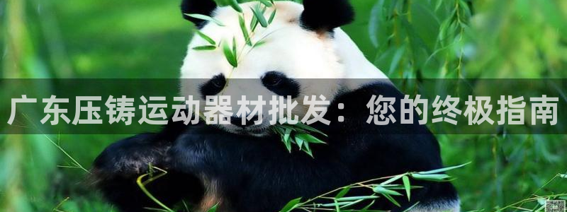 意昂体育3招商电话号码：广东压铸运动器材批发：您的终