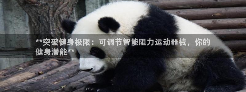 意昂3娱乐：**突破健身极限：可调节智能阻力运动器械