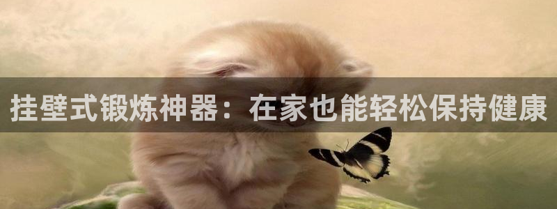 意昂体育3开户：挂壁式锻炼神器：在家也能轻松保持健康