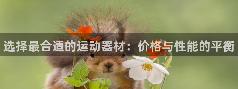 意昂体育3平台是正规平台吗知乎