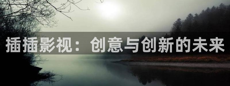 月之晴天电影免费观看：插插影视：创意与创新的未来